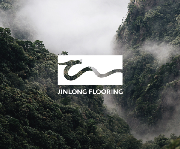 矢量與位圖圖像設(shè)計(jì)上海vi設(shè)計(jì)公司終極指南